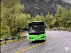 比亞迪純電動(dòng)客車K9批量交付大九寨旅游集團(tuán)