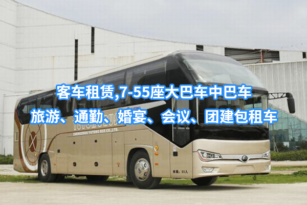 小店區(qū)租大巴車，中巴車，團(tuán)建，旅游，通勤，婚宴