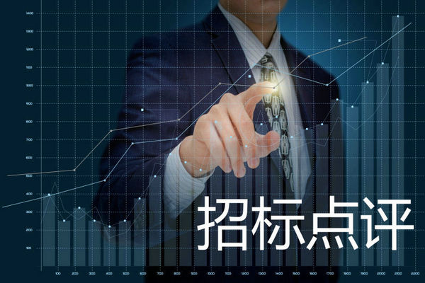 年度點(diǎn)評(píng)：2024年城市公交車招標(biāo)采購數(shù)據(jù)匯總與點(diǎn)評(píng)