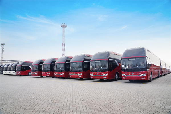 2025年中國沙特最大單！金旅234臺高端旅游客運車揚帆啟航