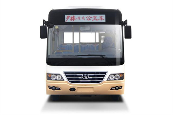 少林SLG6730C5GF公交車（柴油國五10-29座）