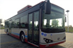 天津比亞迪TJK6126BEV公交車（純電動33-41座）